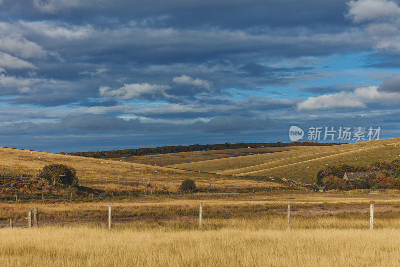 英国苏塞克斯郡的Cuckmere Haven